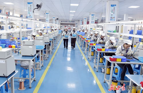 康樂東西協作鄉村就業工廠節后復工生產忙，職業中介活動助力就業